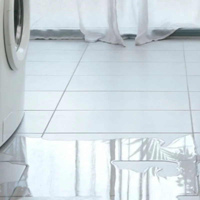 Appliance Leak Cleanup in Avon, CO